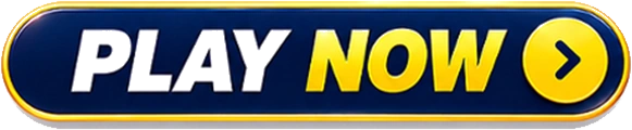 PLAY NOW