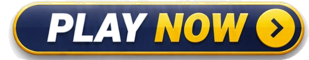 PLAY NOW